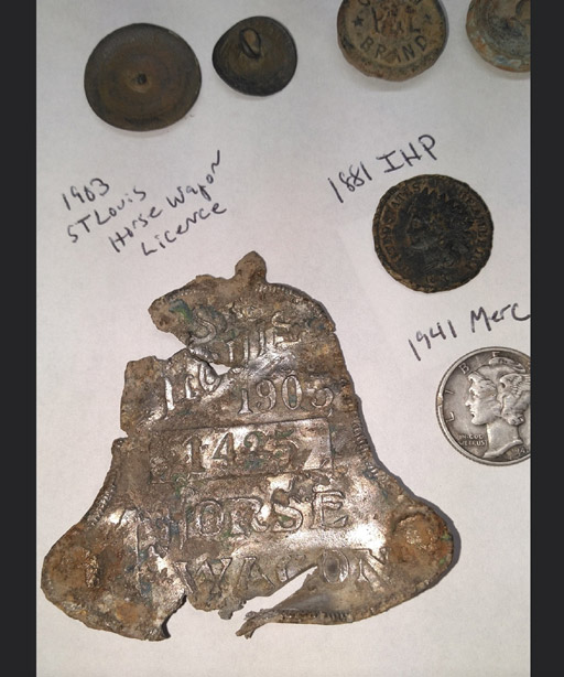 ScottP1HorseWagonLicense202