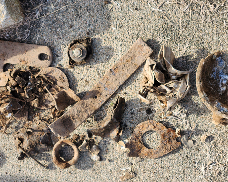 2022FOM-December- 01