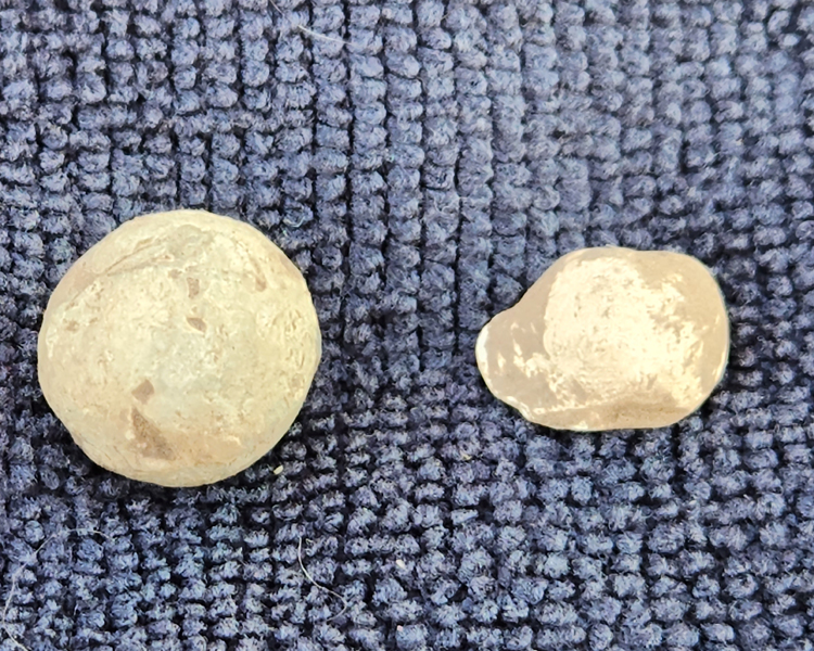 2022FOM-December-Julie W.-01